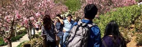 SurelyNotKim's profile banner image