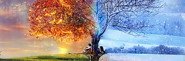 Shawndrra's profile banner image