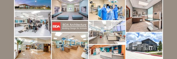 BDA_Arch Profile Banner