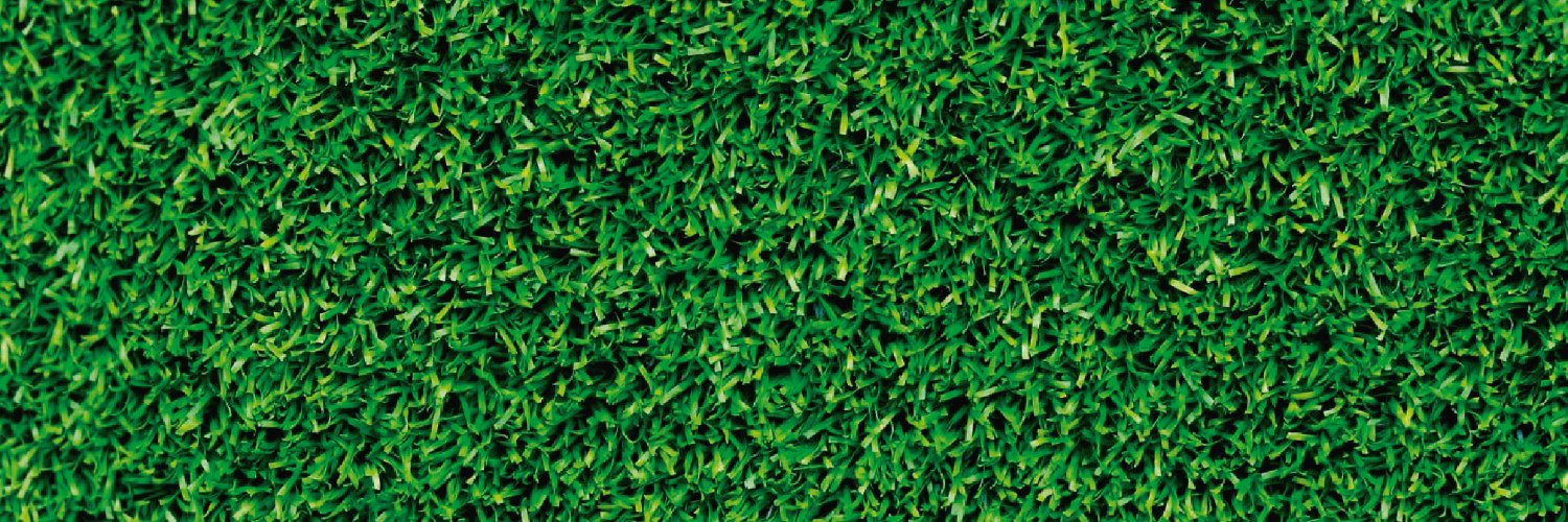 chiporock's profile banner image
