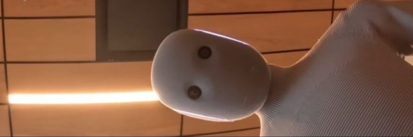 Fran_ci_s's profile banner image