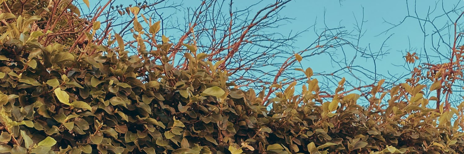 roberthregis's profile banner image