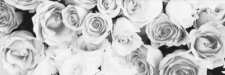 dakotabree's profile banner image