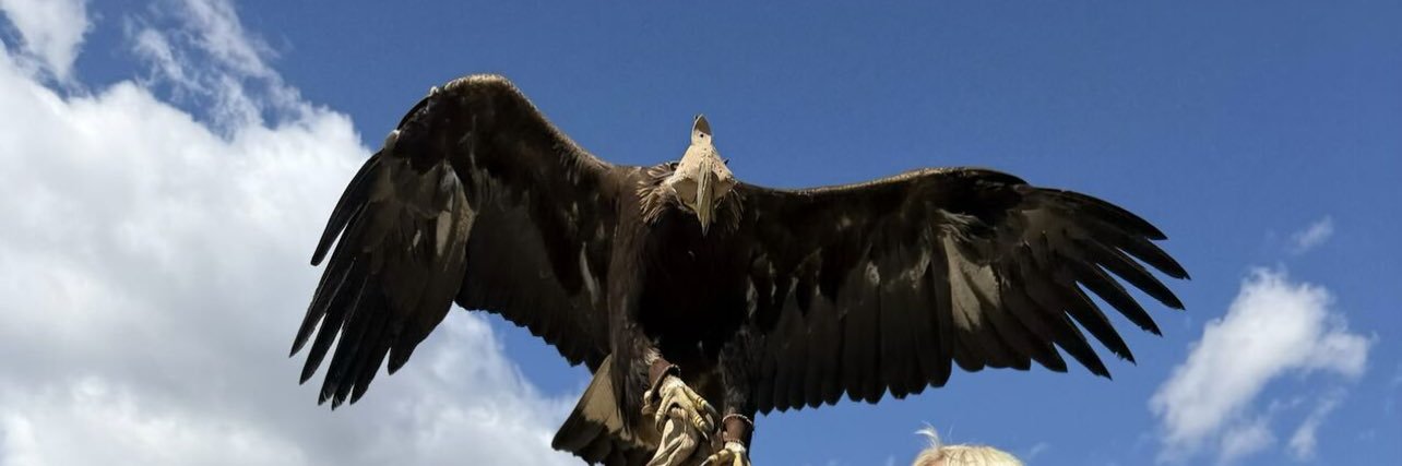 Sedakbs's profile banner image