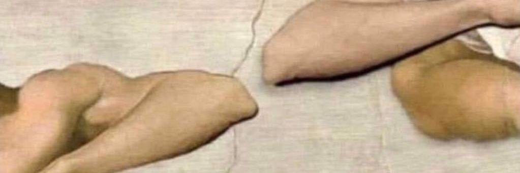 diego favrin banner