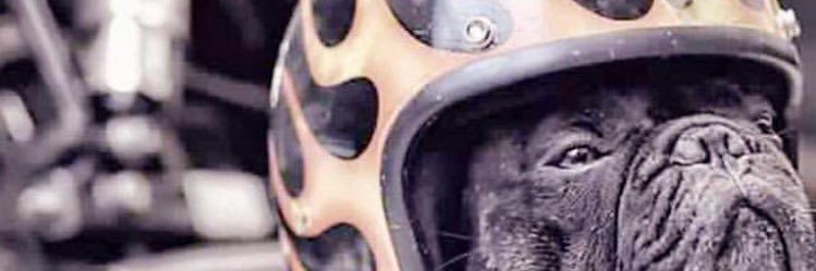 JPulls's profile banner image