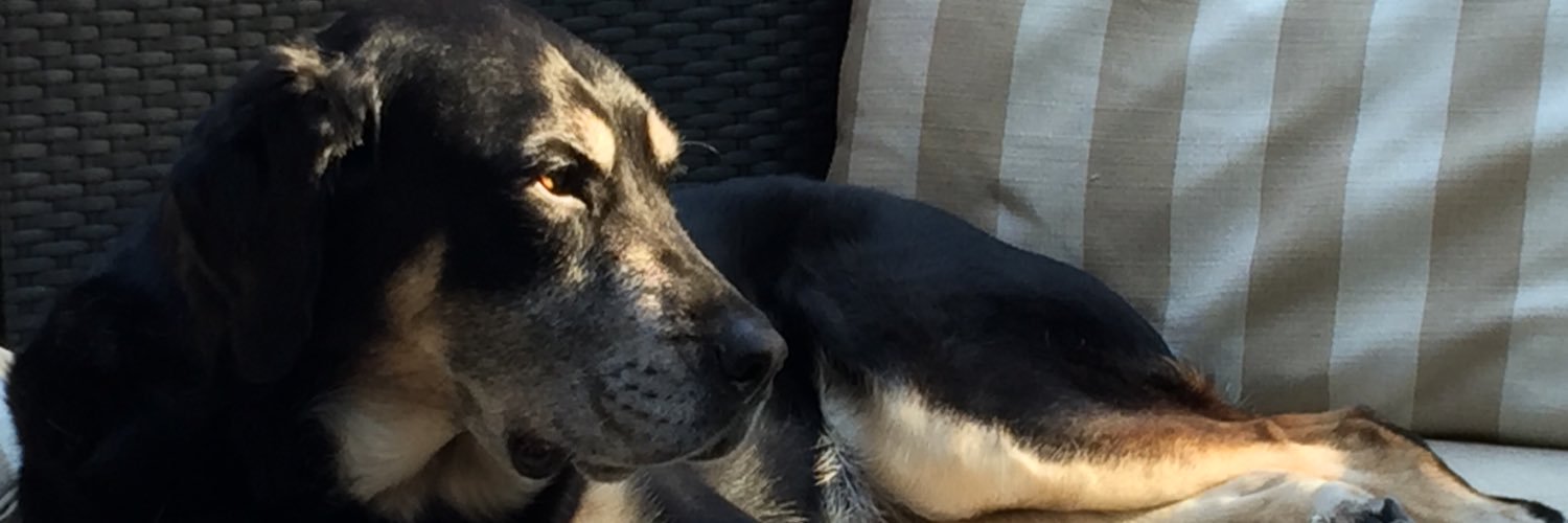 hirjul's profile banner image