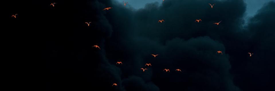 bartekchlebek's profile banner image