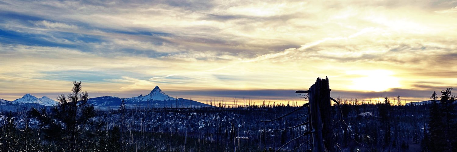 mitchpurvis's profile banner image