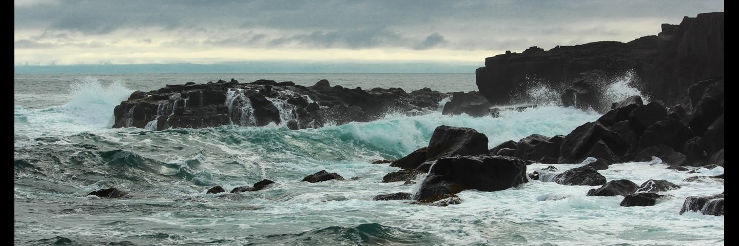 Alexander Jueterbock banner