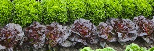 richards_farm's profile banner image