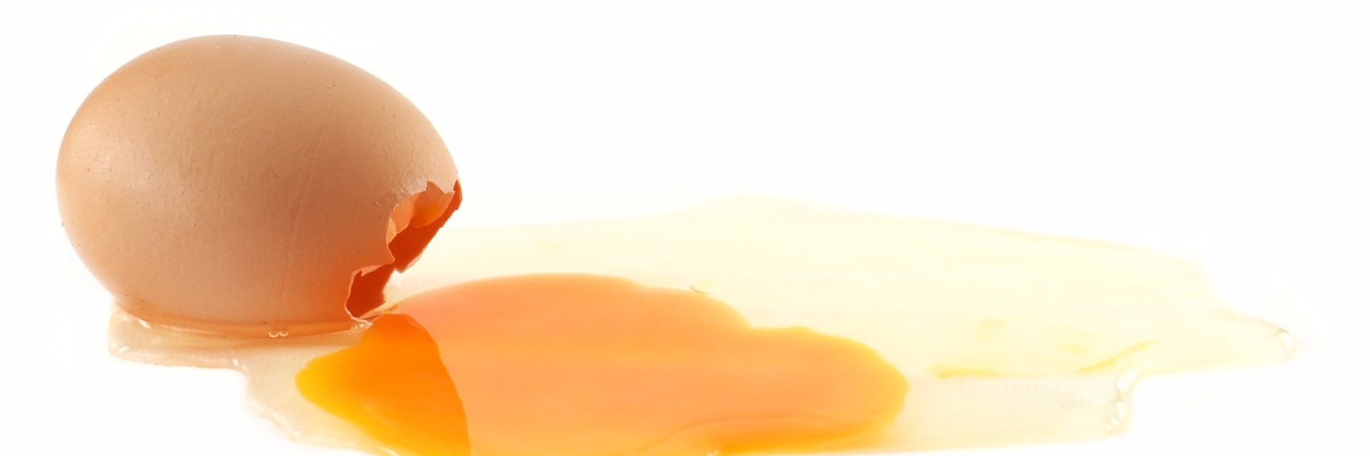 TortillaBlaster's profile banner image
