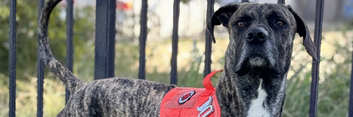 Coach Gonzales banner