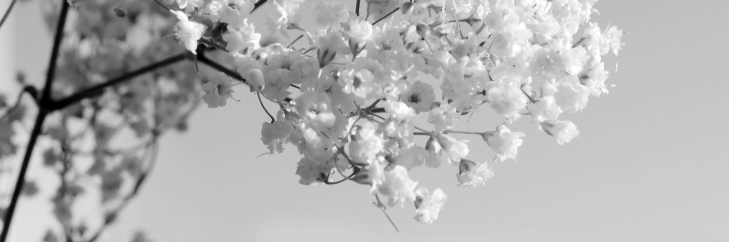 tabbycatssidy's profile banner image