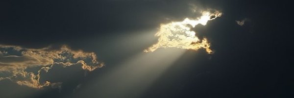 __Dangerous_D Profile Banner