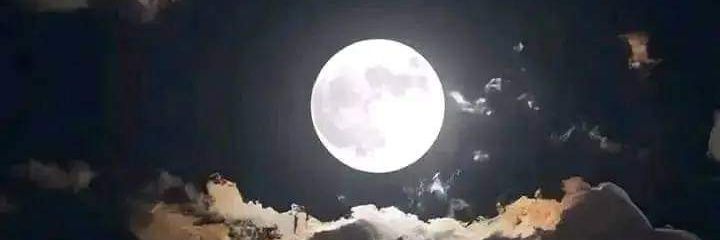 danielarosero97's profile banner image