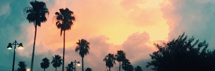 TaylorBrune's profile banner image
