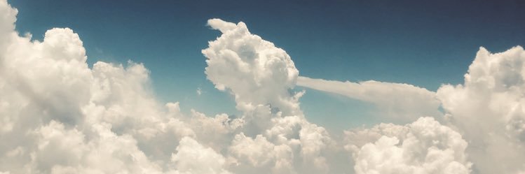gfonzo's profile banner image