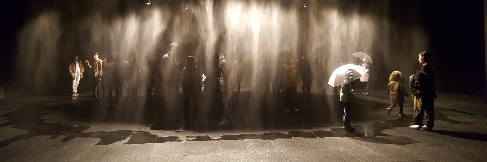 Carol Fingleton banner