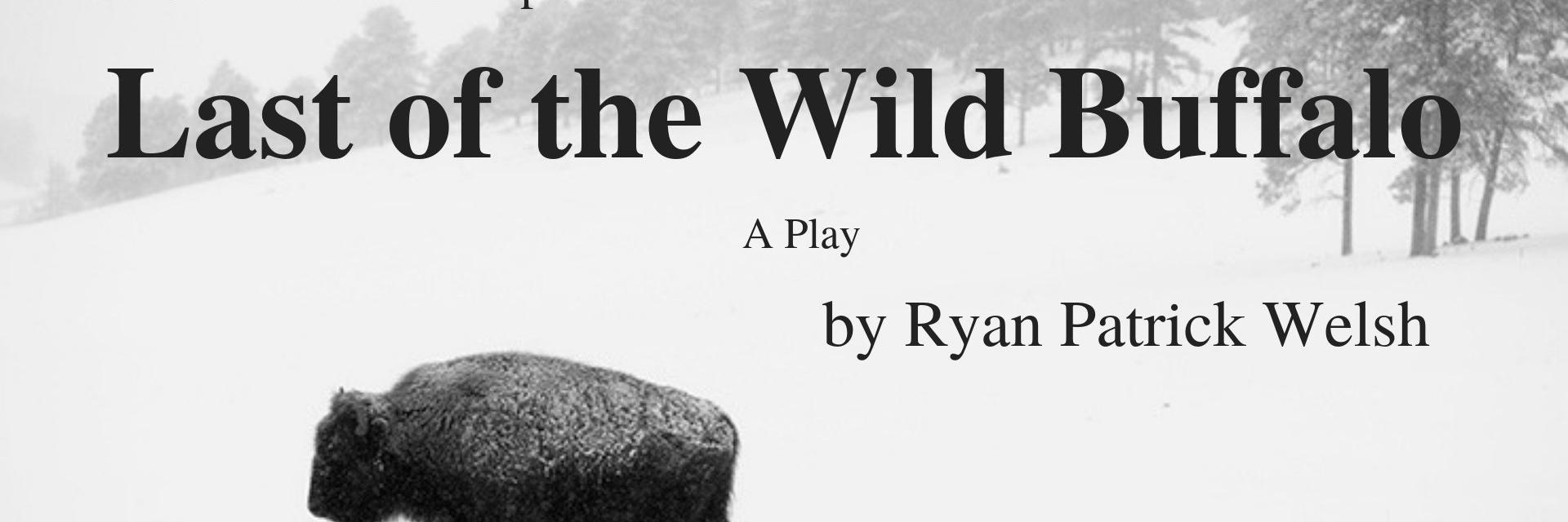 Ryan Patrick Welsh banner