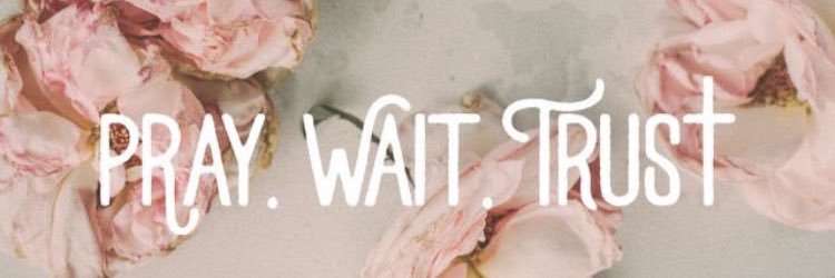 nataliethomas20's profile banner image