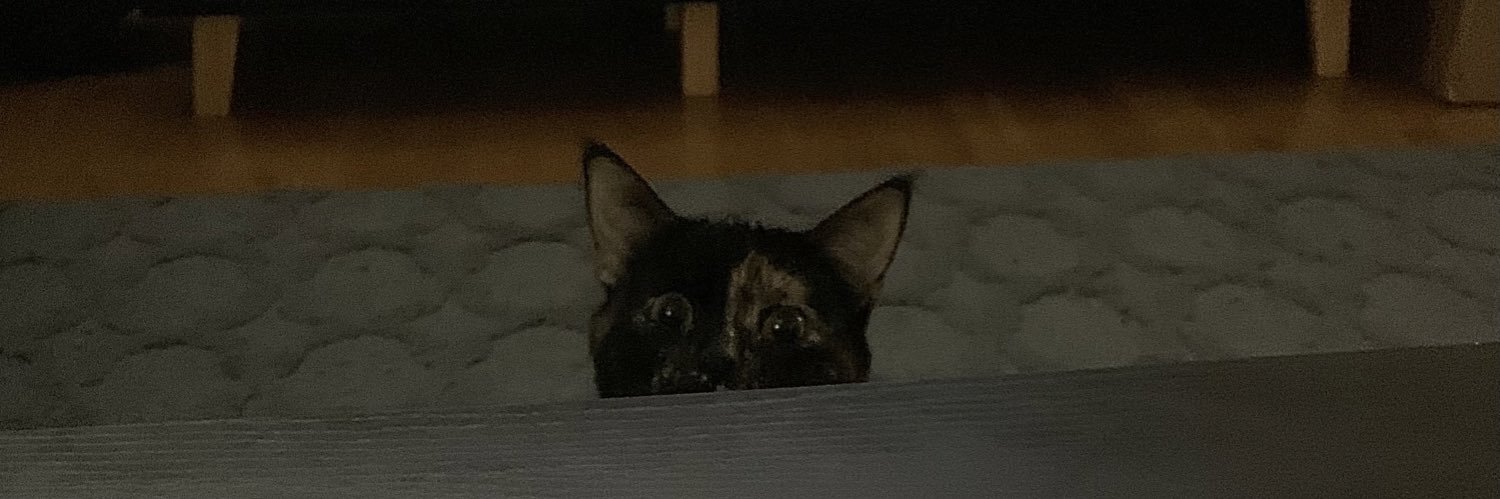 MorgannKidd's profile banner image