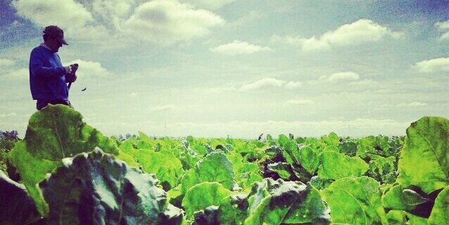 Picossi's profile banner image