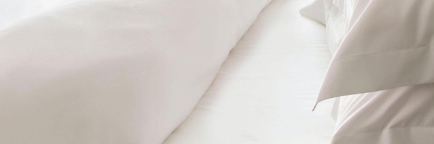 StandardFiber's profile banner image