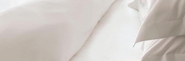 StandardFiber Profile Banner