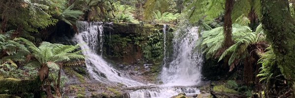 LetaLaRush Profile Banner