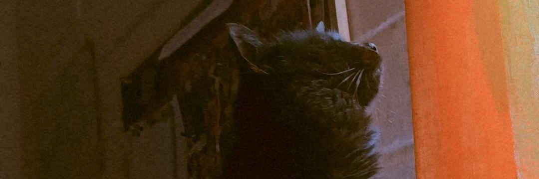 Kaes_1's profile banner image