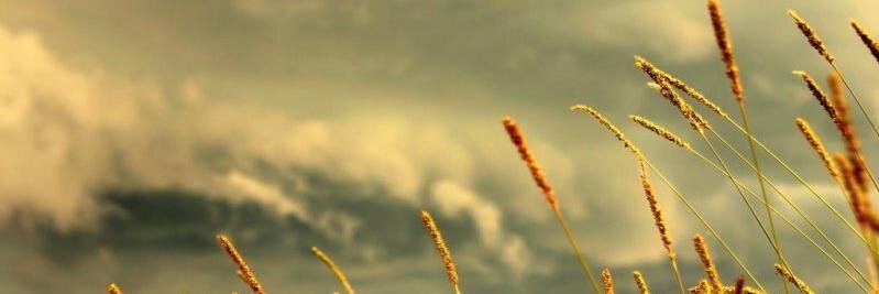JarumJerami's profile banner image