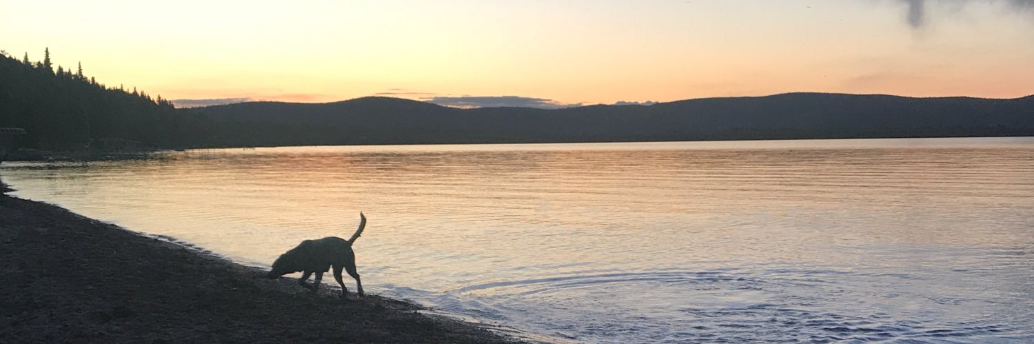 hannahkaiserrr's profile banner image
