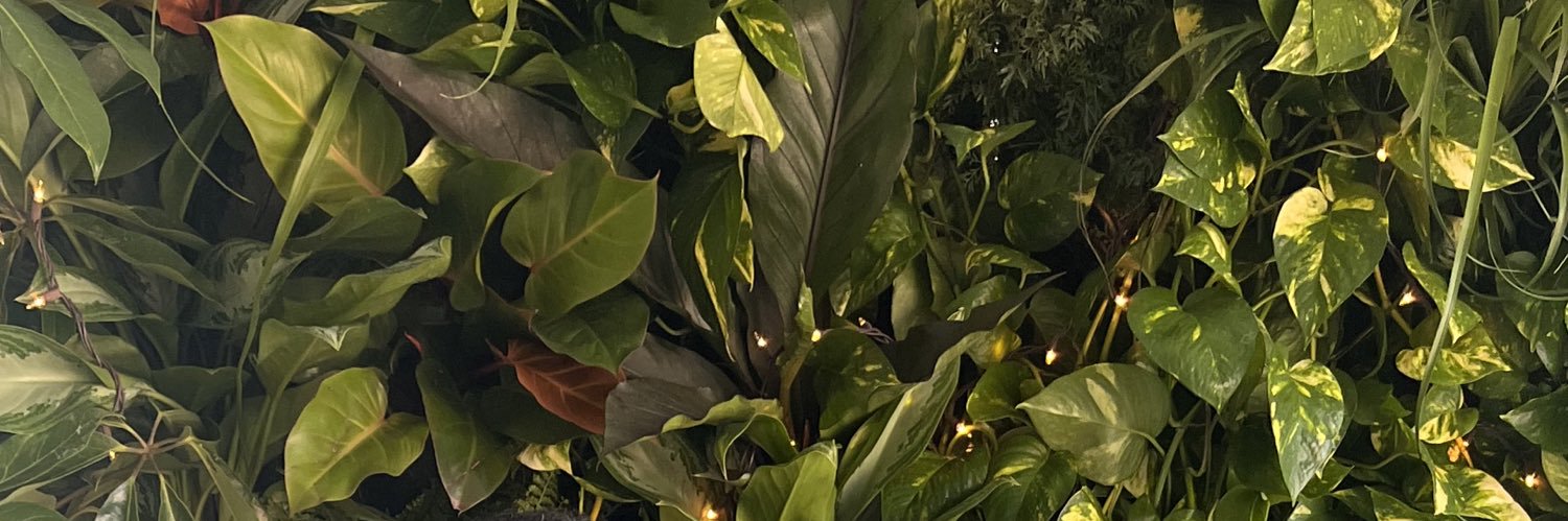 RealMattHousley's profile banner image