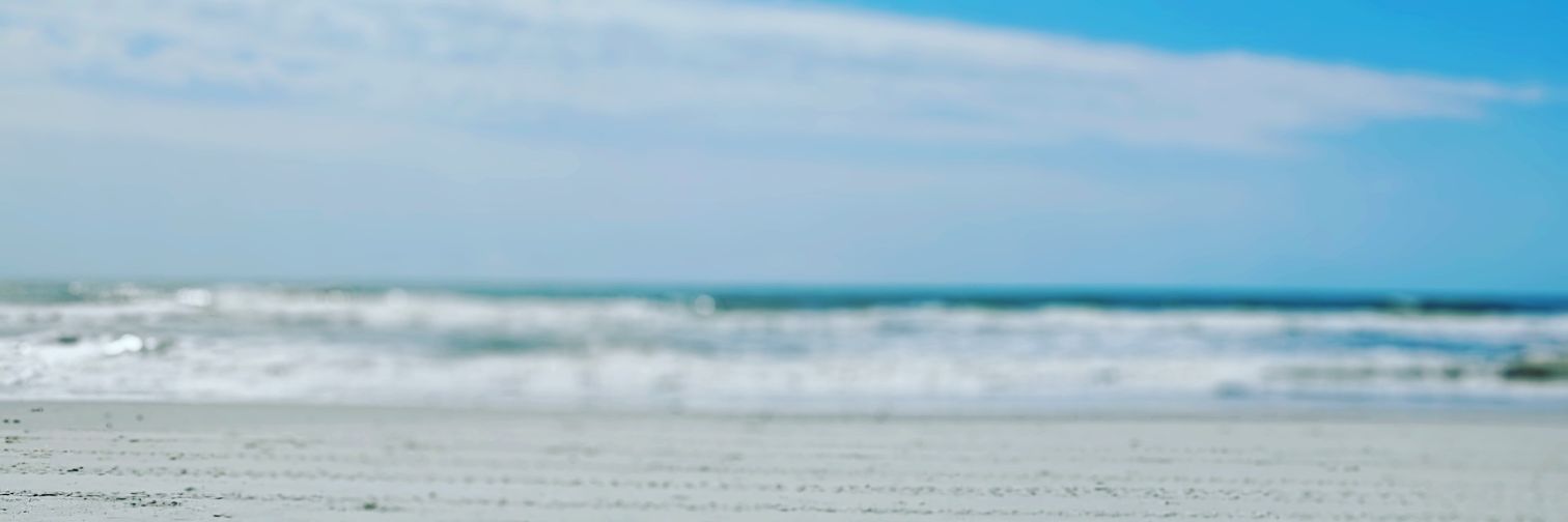 BaileyCecilia's profile banner image