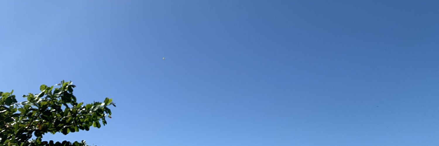 MagentaMariposa's profile banner image