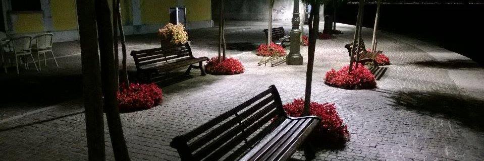 Stefano Protti banner