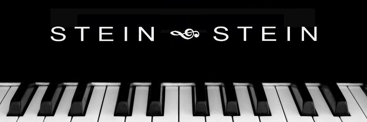 raysteinmedia's profile banner image