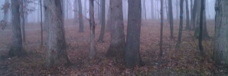 jessearnold02's profile banner image