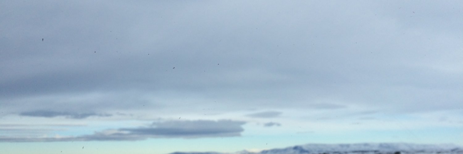 TheRealBeale's profile banner image