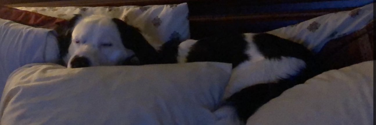 BrandonC213's profile banner image