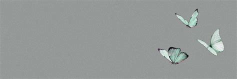 Ginevra Grace Bagani banner