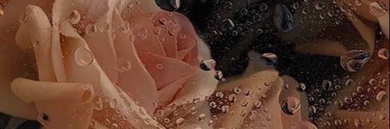 Its_Just_Ali_'s profile banner image