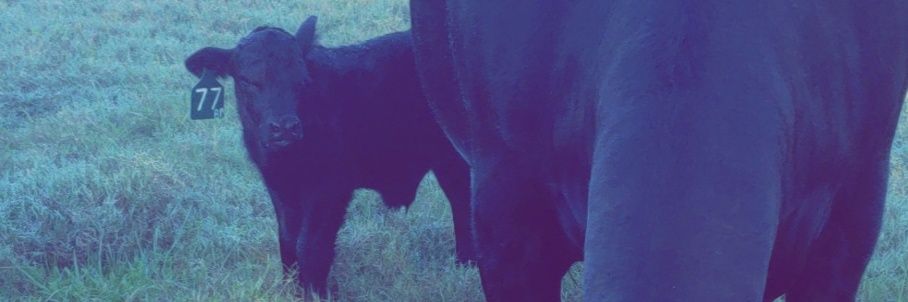 EBaldwin85's profile banner image