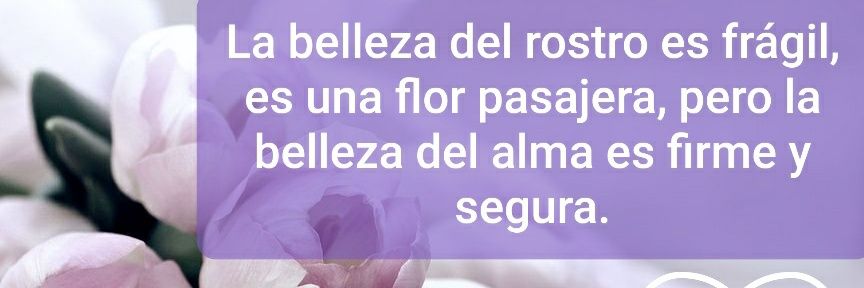 Rose6288's profile banner image