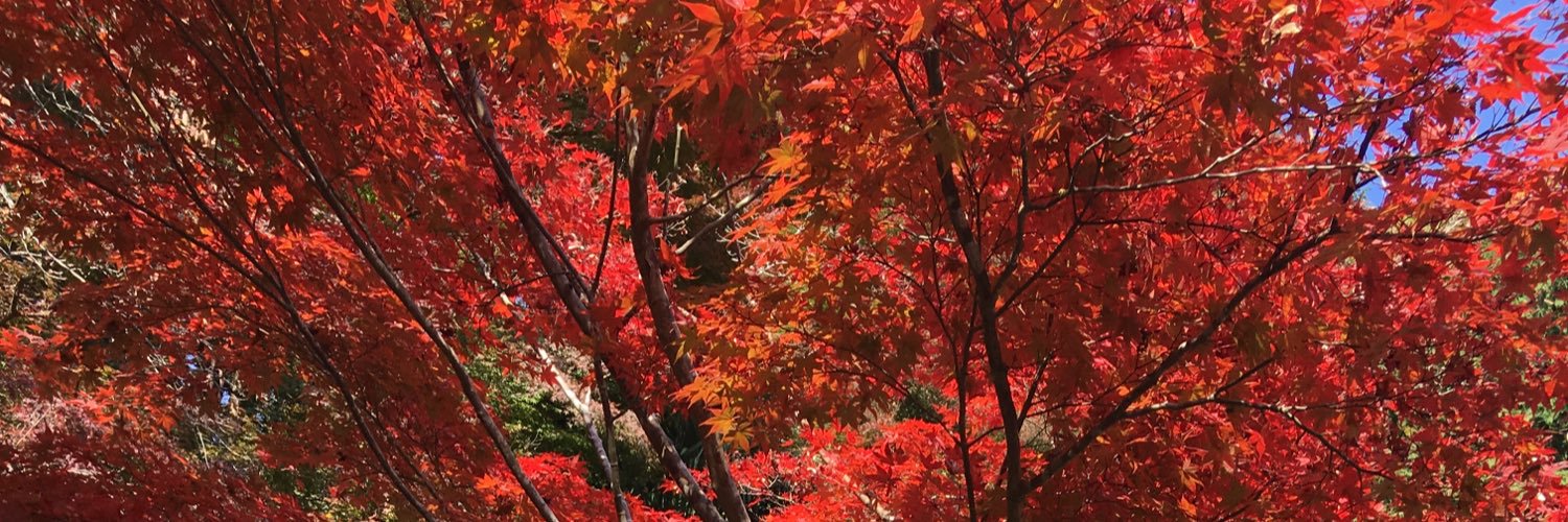 satosea3's profile banner image
