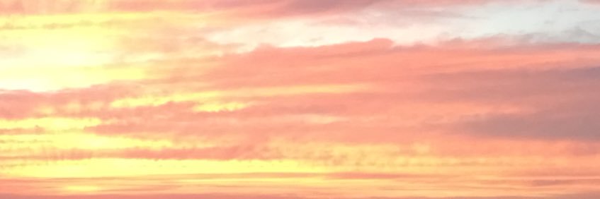 DianeeMariee's profile banner image