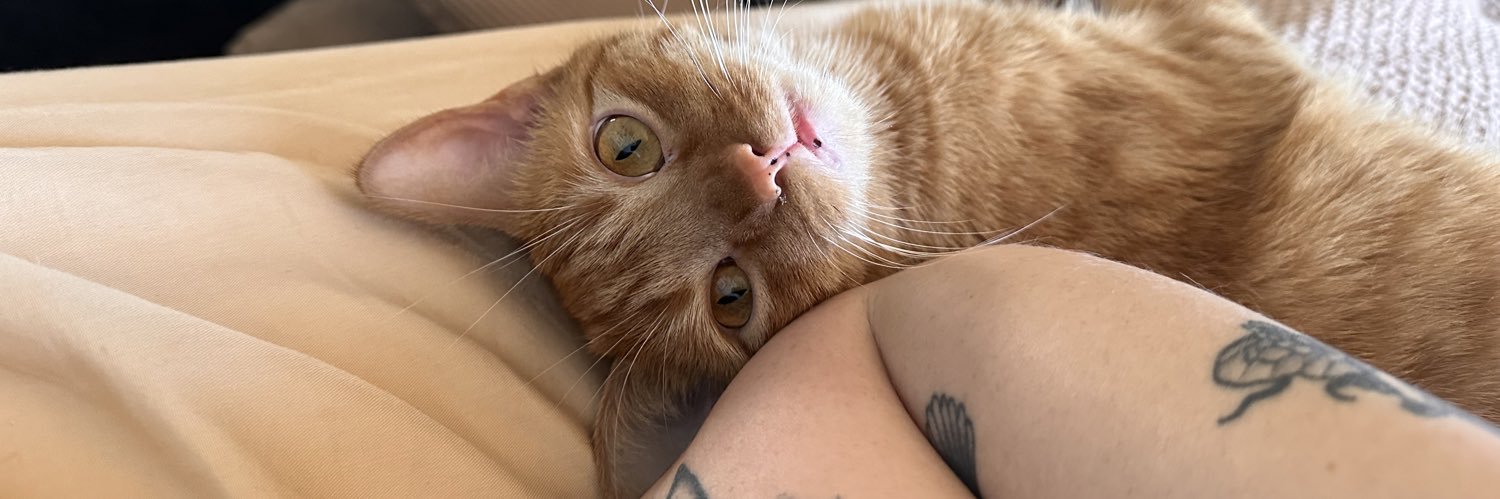 corinnevlay's profile banner image