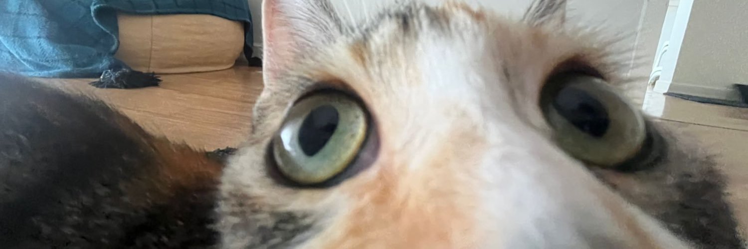 leomanske's profile banner image