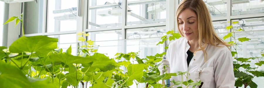 Brock Graduate Studies and Postdoctoral Affairs banner
